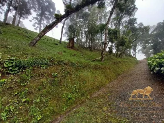 Imagem Terreno à venda em Campos do Jordão de R$690mil por R$550mil.