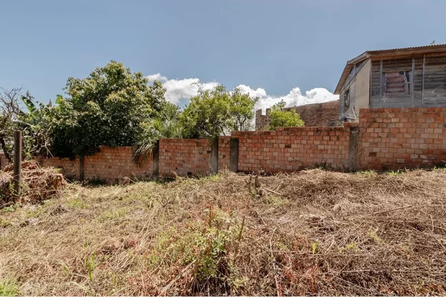Imagem TL 1144 Lote 610191029-25 - Terreno à venda no bairro Tristeza - Porto Alegre/RS