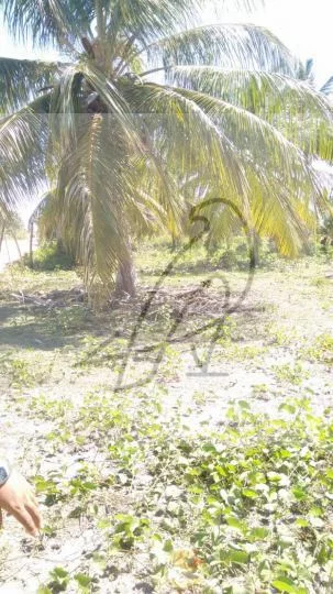 Imagem Terreno para Venda em Conde / BA no bairro Sítio do Conde - Conde-Ba