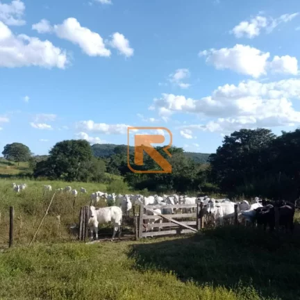 Imagem Venda de Fazenda em Aragoiânia