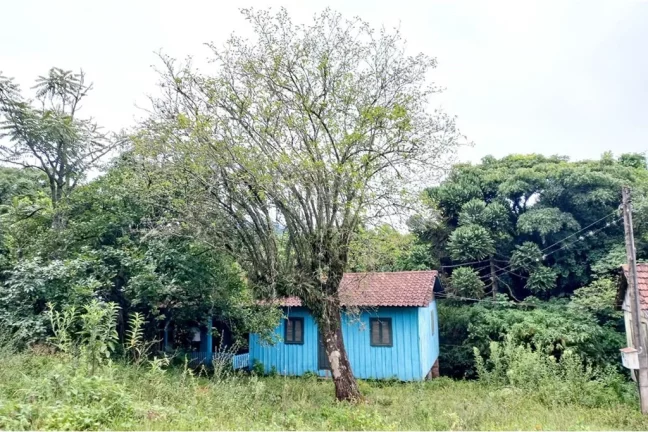 Imagem CLBG 120 Lote 612511062-6 - Fazenda à venda no bairro Riozinho - Riozinho/RS