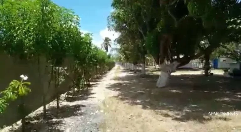 Imagem Casas e um verdadeiro sítio a Beira Mar na Praia de Lucena, você pode empreender