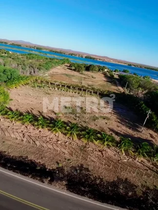 Imagem Área Beira rio à venda com 4ha com excelente localização, casa, Petrolina-PE