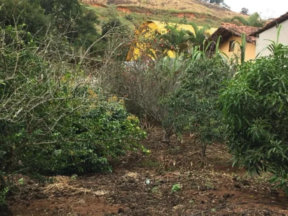 Imagem Fazenda para Venda por R$5.000.000,00 com 7 dormitórios na casa sede e 2 cozinhas - Centro, Sao miguel do anta / MG - Cód. BDI25757