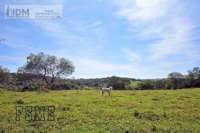 Imagem Fazenda com 145 ha para empreendimento em Indaiatuba - SP