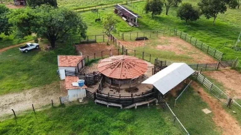Imagem Oportunidade Única! Fazenda de Alto Potencial em Várzea da Palma - Conheça Agora!