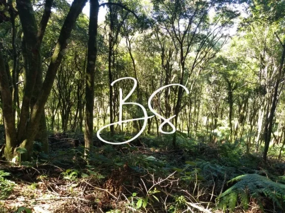 Imagem SITIO RURAL em IGREJINHA - RS, Serra Grande