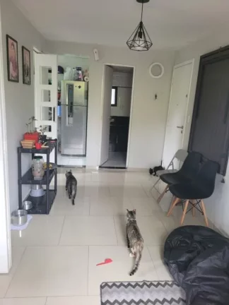 Imagem Apartamento com 2 dormitórios à venda, 39 m² por R$ 190.000,00 - Jardim Dayse - Ferraz de Vasconcelos/SP