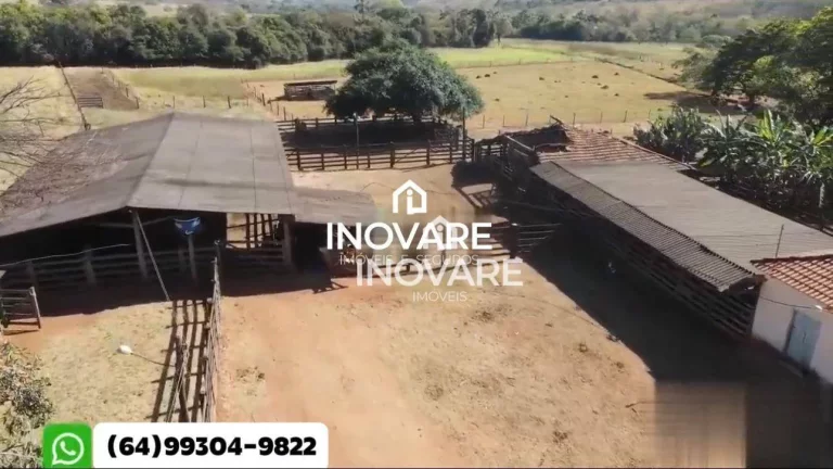 Imagem Fazenda à venda, 486,42 hectares por R$ 25.125.000 - Sewa - Araguari/MG