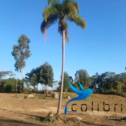 Imagem Chácara à Venda, 7.716 m² em Lagoa Dos Ferreiras - Mandirituba