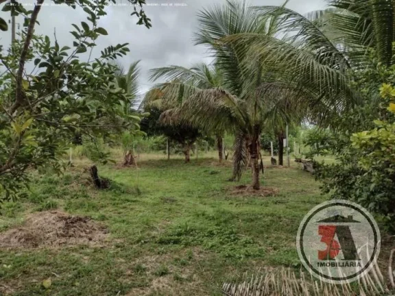 Imagem Chacará 3km PVH no bairro Areia Branca