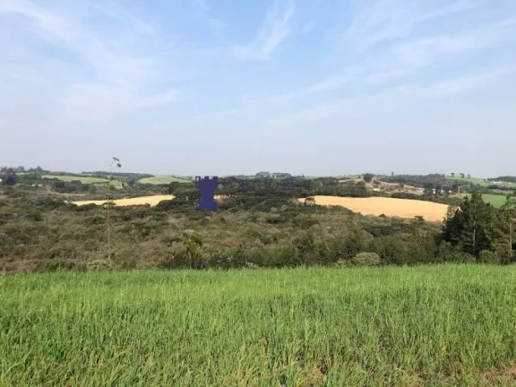 ÁRE RURAL PARA FORMAR CHÁCARA EM BALSA NOVA