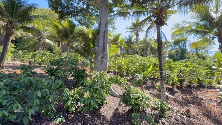 Imagem Sítio com Casa à venda, 100.614,00 m², Timbuí - Fundão/ES
