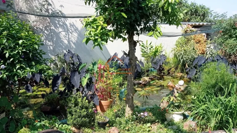 Imagem Chácara à venda no bairro PEDERNEIRAS - Mogi Mirim/SP