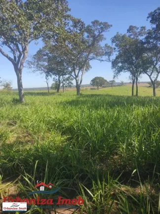 Imagem Fazenda à Venda no Município de Camapuã/MS contendo 1003 hectares com Formação 50% feito esse ano | Mangueiro Novo sendo finalizado | 18 KM da Rodovia