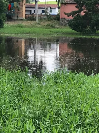 Imagem Fazenda região de Itapira SP