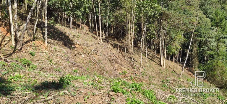 Imagem Terreno à venda, 13500 m² por R$ 1.450.000,00 - Granja Guarani - Teresópolis/RJ