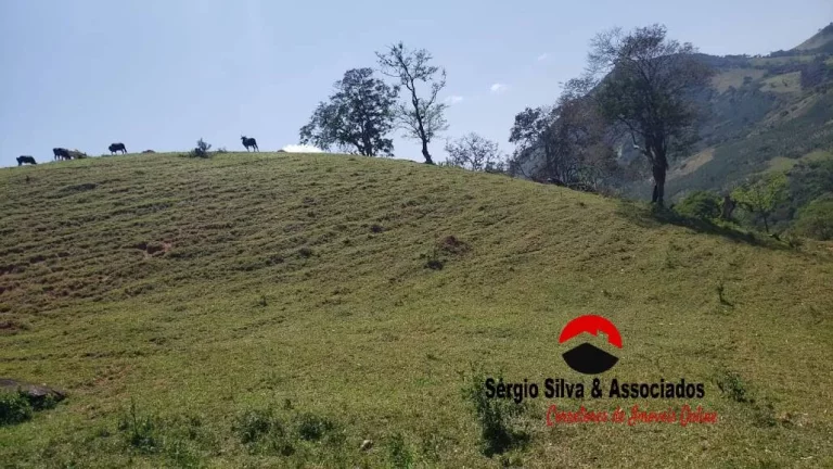 Imagem Sítio Bela Vista Bairro dos Lúcios Região de Luminosa em Brazópolis - MG