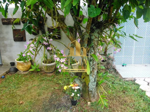 Imagem Casa térrea em madeira com 03 dorms,160 m2, área de 500 m2, espaço Gourmet