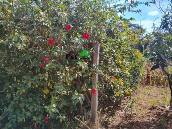 Imagem Terreno em Condomínio para Venda em Americana, Parque São Jerônimo
