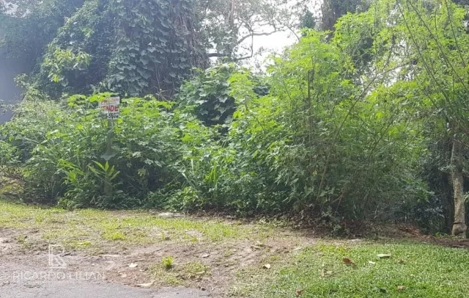Imagem "Oportunidade única: Terreno de 2.000 m² no Condomínio Alpes da Cantareira com vista deslumbrante entre as montanhas!"