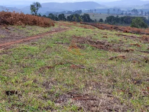 Imagem Fazenda - Santo Antônio do Amparo - Zona Rural