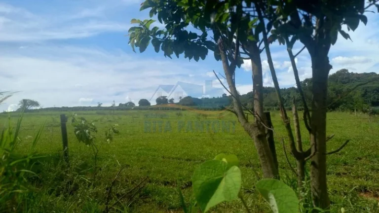 Imagem Rancho - Santo Antônio da Alegria - Poção