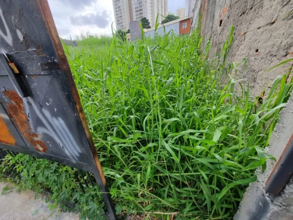 Imagem Localização privilegiada e espaço amplo - o terreno dos sonhos para o seu negócio! ( 2 terrenos ...