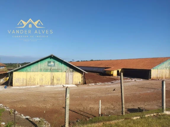 Imagem SITIO COMERCIAL em MARECHAL CÂNDIDO RONDON - PR, Zona rural