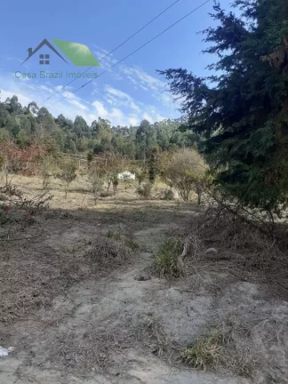 Imagem Chácara com 3 Quartos à Venda, 121.000 m² em Damião - Paraibuna