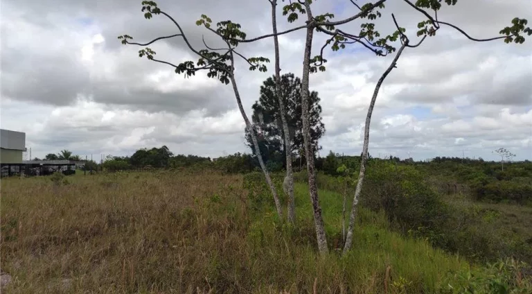 Imagem Terreno à Venda, 17.000 m² em Centro - Camaçari