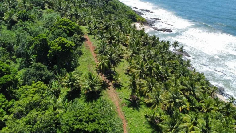 Imagem Natureza Serra Grande