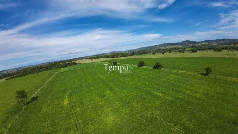 Imagem Fazenda 3 alqueires em Anicuns - Excelente para plantio