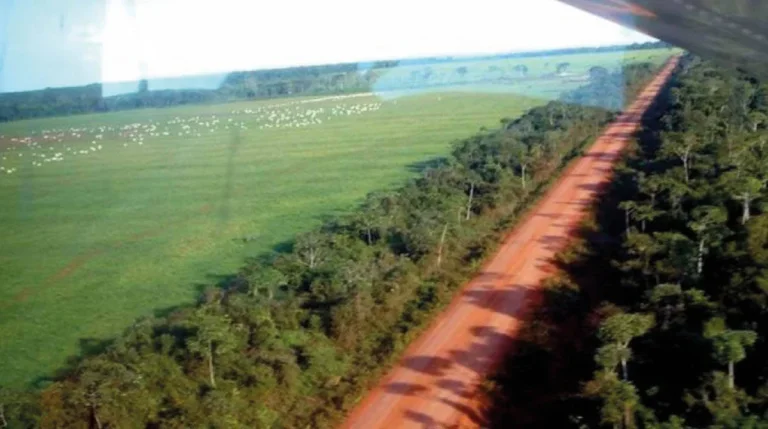 Imagem Fazenda em Mato Grosso - 103.000hec