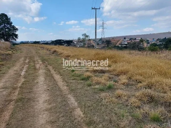 Imagem Terreno à venda Centro, Ponta Grossa - PR