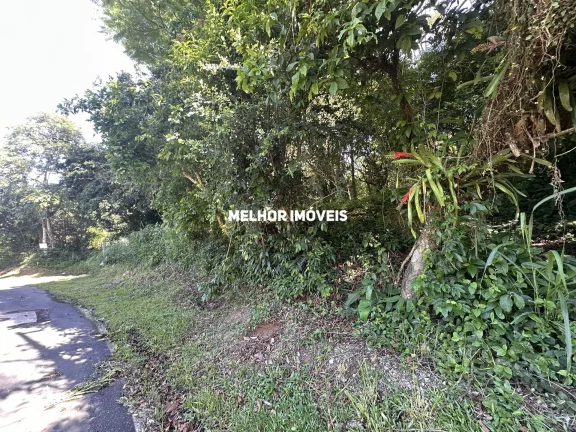 Imagem Terreno com rua asfaltada á venda na praia de Taquaras em Balneário Camboriú