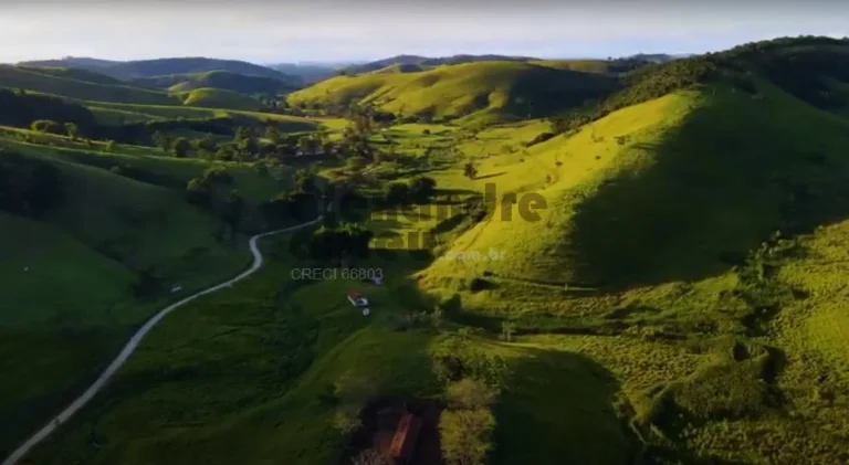 Imagem Fazenda de 1067 alqueires à venda em Santa Branca com 180 nascentes