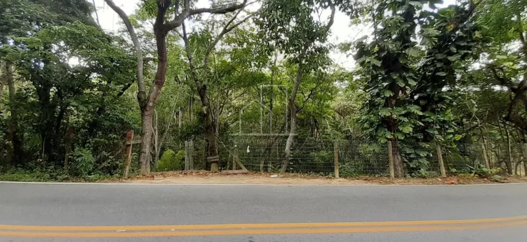 Imagem Terreno para Venda em Florianópolis / SC no bairro Vargem Grande