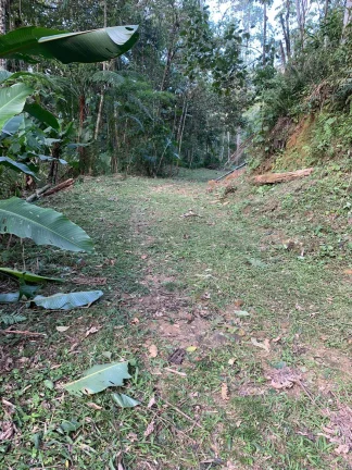 Imagem Rural - Chácara, para Venda em Rio dos Cedros/SC
