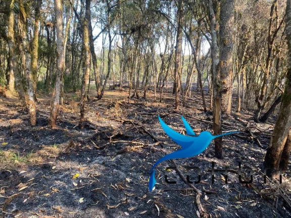 Imagem Terreno à Venda, 2.141 m² em Leão - Agudos Do Sul