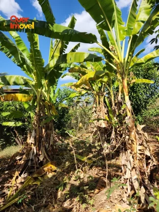 Imagem Terreno à venda na cidade de Ribeirão Preto-SP, bairro City Ribeirão, 540,50 m² de área!