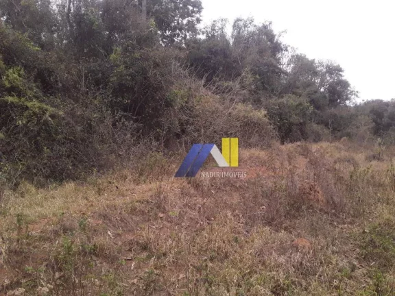 Imagem Fazenda à Venda, 246 m² em Algodão - Pouso Alegre