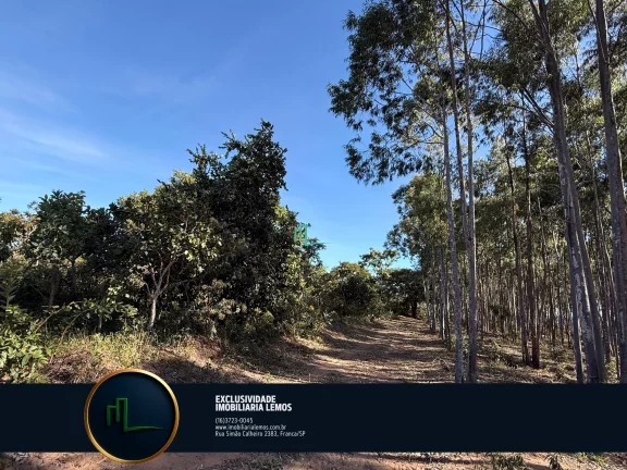 Imagem OPORTUNIDADE ÚNICA - FAZENDA Á VENDA EM PEIXOTO/LAGE (IBIRACI/MG) COM 92 ALQUEIRES