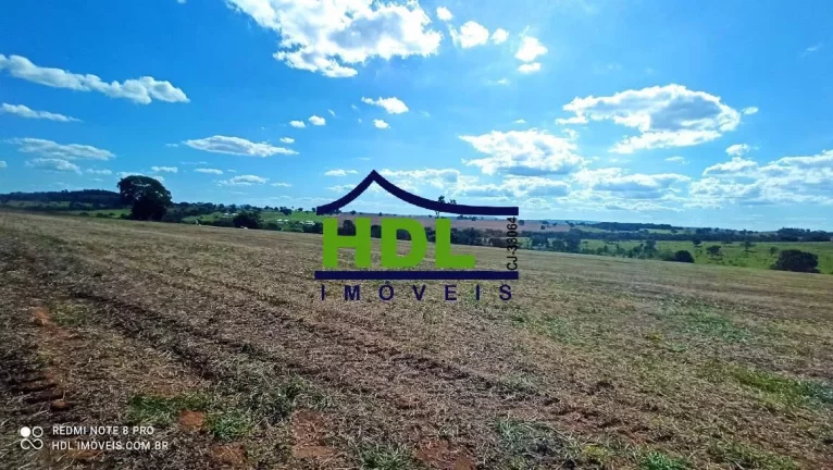 Imagem 28 alqs com 24,5 alqs em Soja.