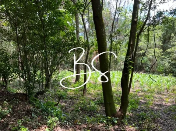 Imagem SITIO RURAL em TRÊS COROAS - RS, RS020