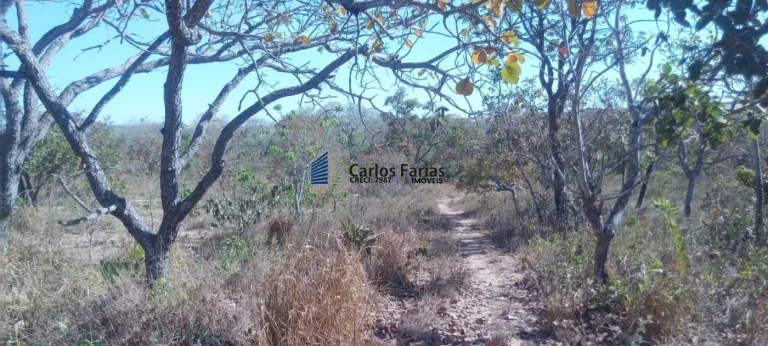 Imagem Chácara para Venda em Brasília, Setor Habitacional Jardim Botânico