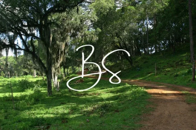 Imagem AREA RURAL em SÃO FRANCISCO DE PAULA - RS, Barragem do Salto