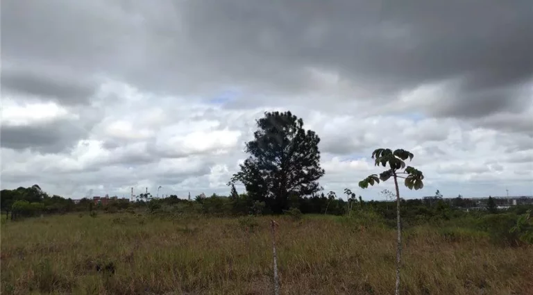 Imagem Terreno à Venda, 17.000 m² em Centro - Camaçari
