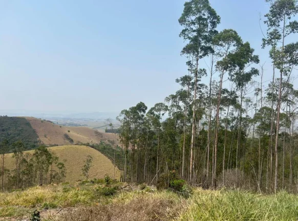 Imagem FAZENDA COM 87 HECTARES - GUARATINGUETÁ - SP