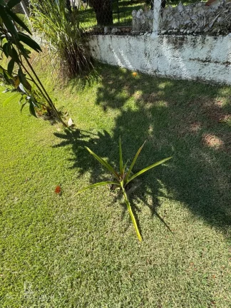Imagem Maravilhosa chacara em Atibaia com 1100m² e 150m² de area construida - 3 Dormitorios sendo uma suite - A VENDA!!!